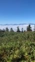 天狗原山にて
