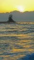 光る海