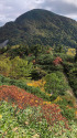 秋の山