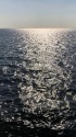 輝く海