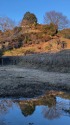 小池にて