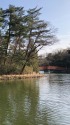 鞍ケ池にて