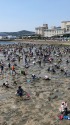 潮干狩り