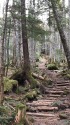 御嶽への道