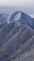 初冬の大天井岳