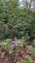 大日岳にて 大日岳にて