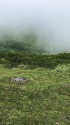 北ノ俣岳にて