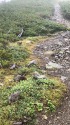 雷鳥の小路