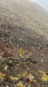 ガスの白馬岳にて