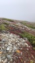 小蓮華山にて