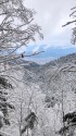 新雪
