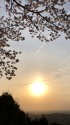 夕日
