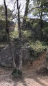 大給城にて