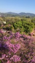 鞍ケ池にて
