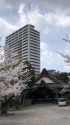 安城のお寺