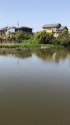 みよしの小池