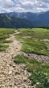 北ノ俣岳お花畑