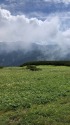 北ノ俣岳お花畑