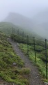 鹿よけの柵