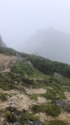 甲斐駒ヶ岳お花畑