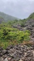 仙水峠にて