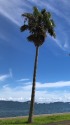 西浦ハワイ