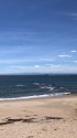 太平洋を望む