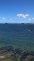 伊勢湾を望む