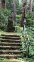 お宮までの道