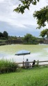 或る小池