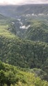 御嶽の森