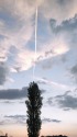 飛行機雲と雑木