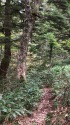 十石山への道