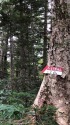 白骨への道