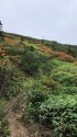 十石山への道