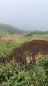 十石山にて