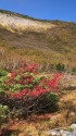 天狗原にて