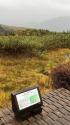 大日平にて