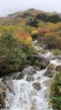 秋の小川