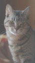 _IMG_6572