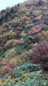 大日岳の途中にて
