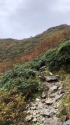 大日岳への道