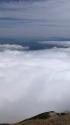 雲海にて
