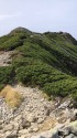 小蓮華山稜線にて