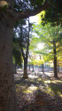 朝日の差し込む公園