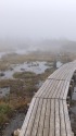 雨の天狗原にて